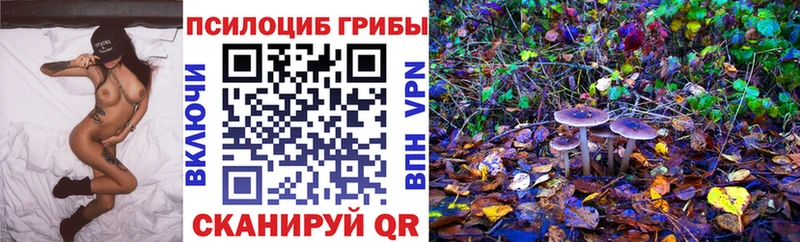 Галлюциногенные грибы Psilocybine cubensis  Болотное 